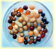 ajaan mun relics.jpg